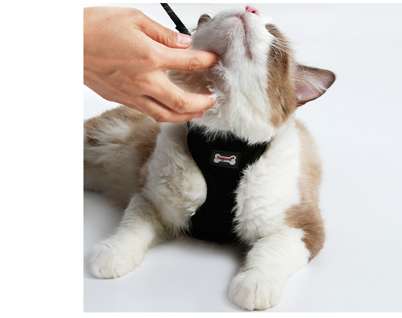 Sprig Mesh Cat Harness, view 8