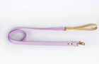 Saddle Leather Leash & Collar, view 42