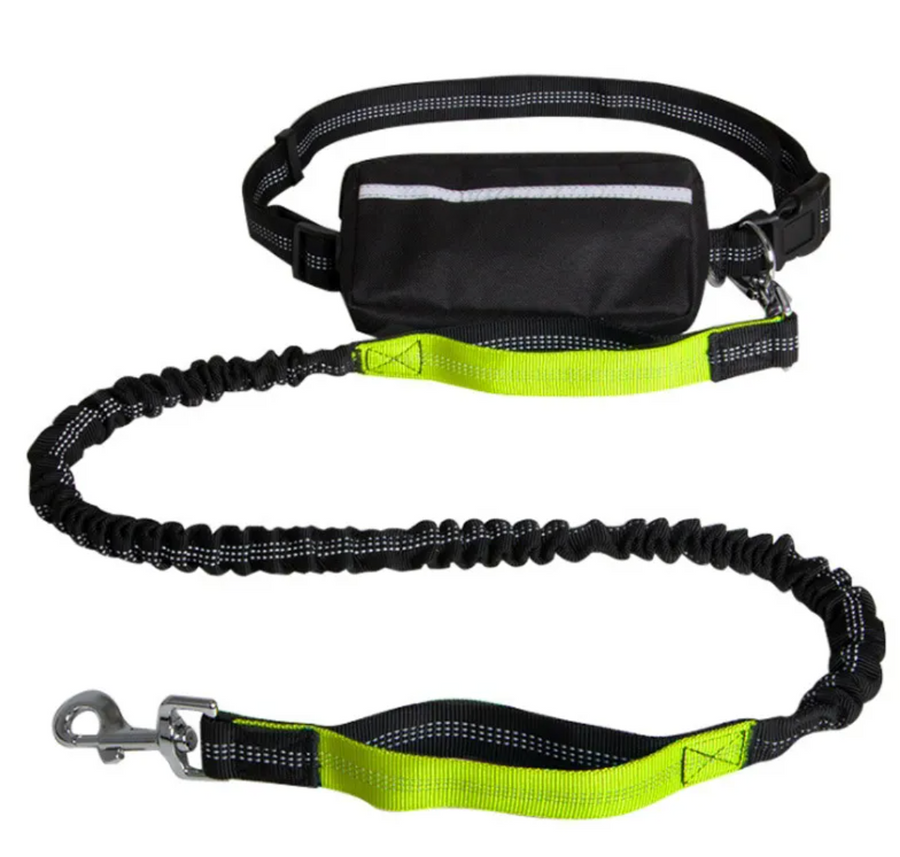Stride Hands-Free Dog Leash, view 2