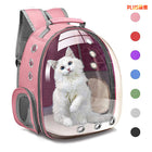 Vista Clear Cat Backpack