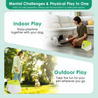 Volley Automatic Ball Launcher shown in an indoor room scene and an outdoor lawn scene