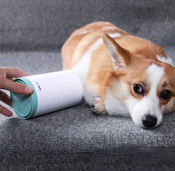 Wade Paw Cleaner in mint held up to a corgi's paw resting on a carpeted stair