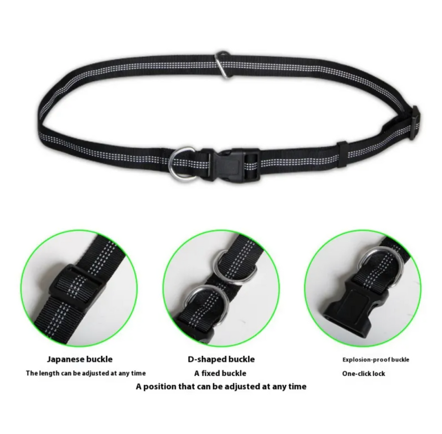 Stride Hands-Free Dog Leash