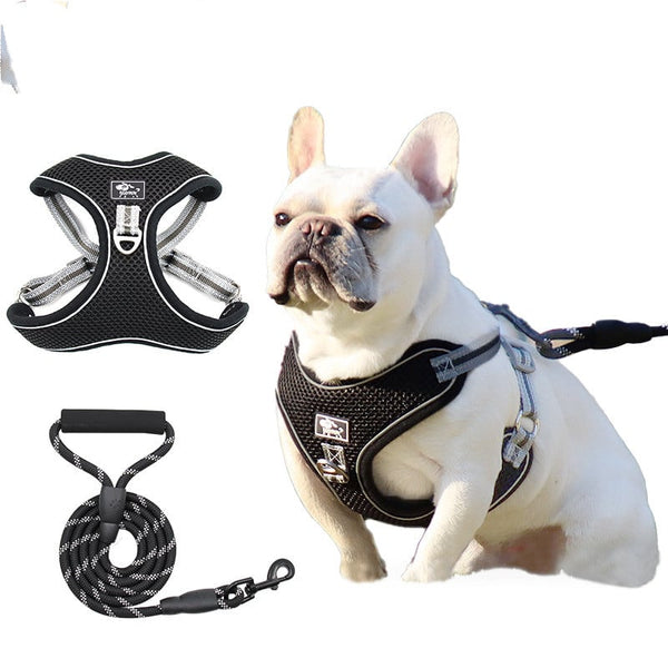 Beacon Reflective Dog Leash mesh harness and rope leash, shown flat and worn by a French bulldog