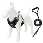 Beacon Reflective Dog Leash