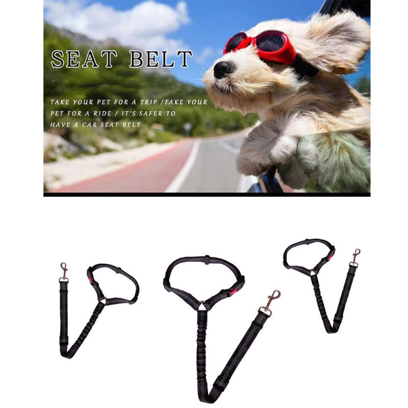 Moor Car Safety Belt