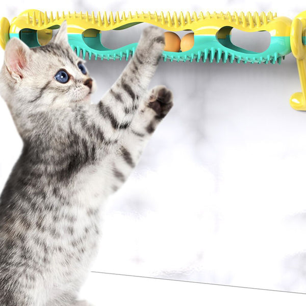 Loop Track Ball Toy mounted on a wall, a grey kitten batting the balls inside its yellow bristled track