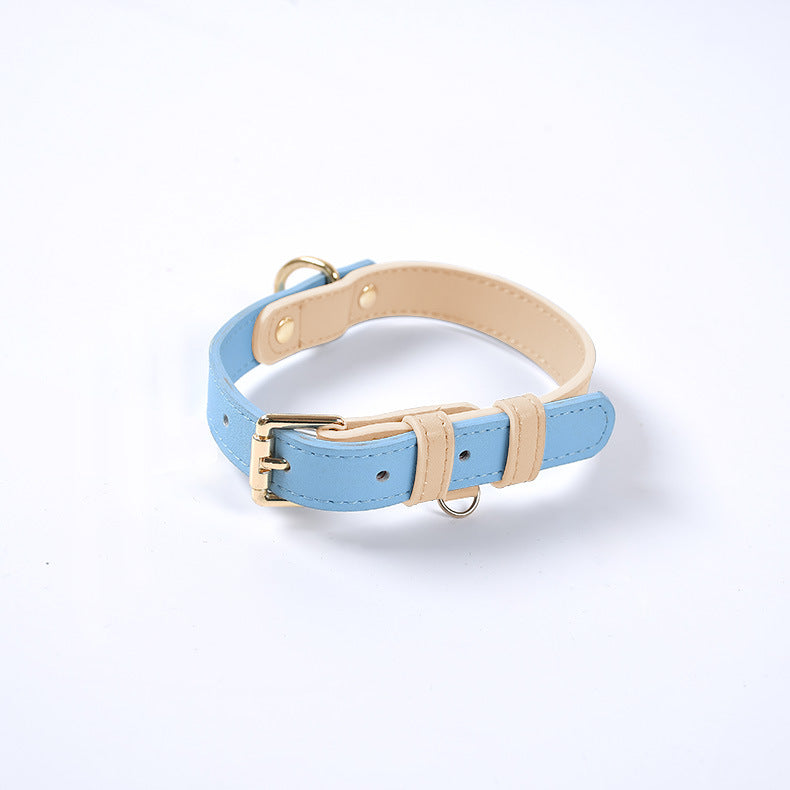 Saddle Leather Leash & Collar, view 22