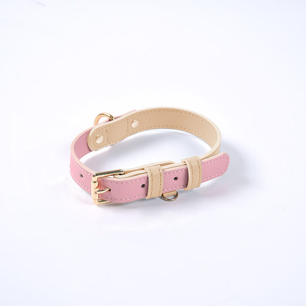 Saddle Leather Leash & Collar