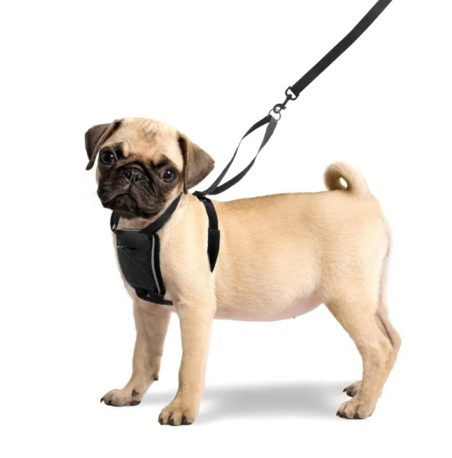 Anchor Reflective Dog Harness, view 5