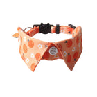 Blossom Bow Tie Collar