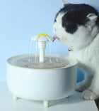 Rill Water Fountain