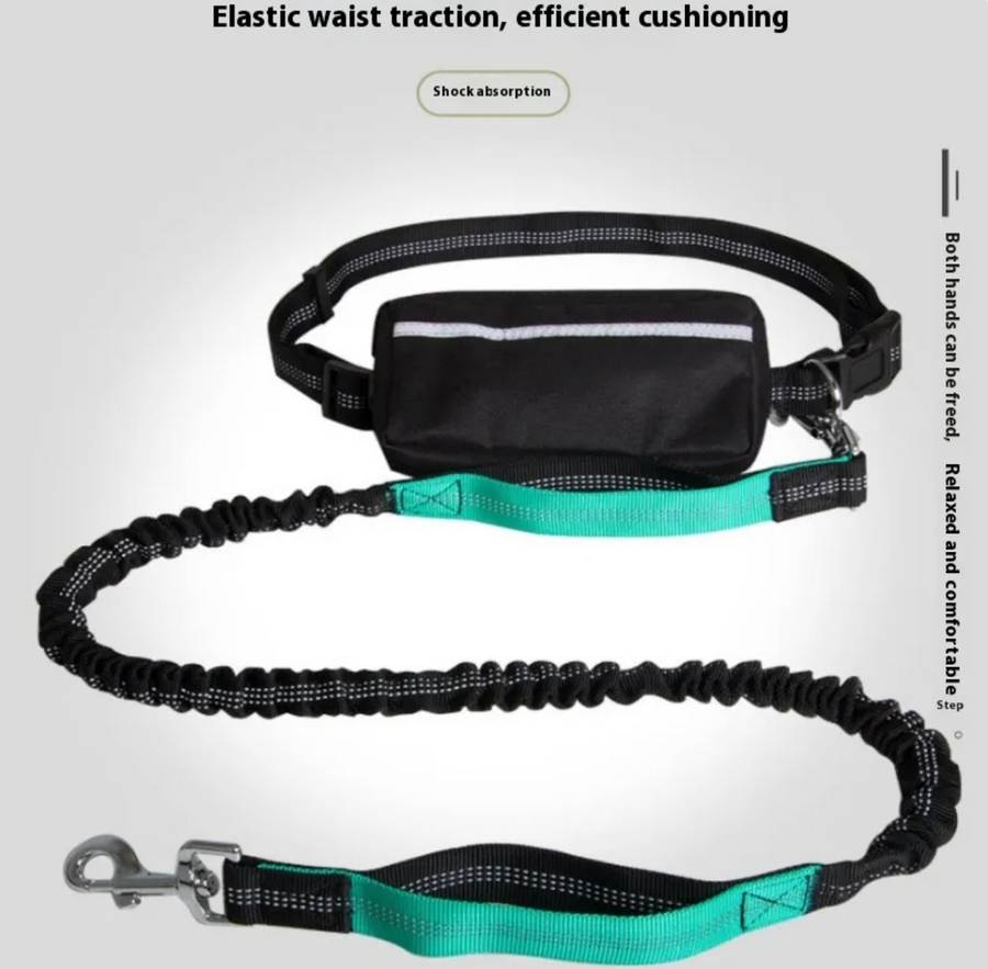 Stride Hands-Free Dog Leash, view 5