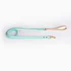 Saddle Leather Leash & Collar, view 5