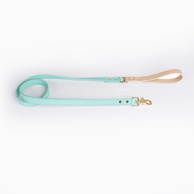 Saddle Leather Leash & Collar, view 5