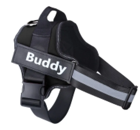 Glow Reflective Dog Vest in black with a reflective side strip and a custom name patch reading Buddy