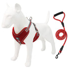 Beacon Reflective Dog Leash
