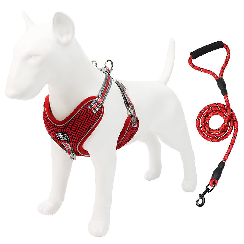 Beacon Reflective Dog Leash