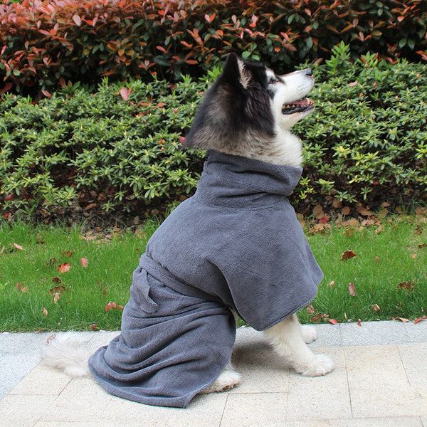 A husky wearing the grey Pewter Dog Bathrobe Towel outdoors on a garden path