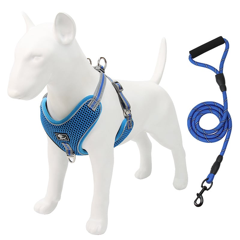 Beacon Reflective Dog Leash
