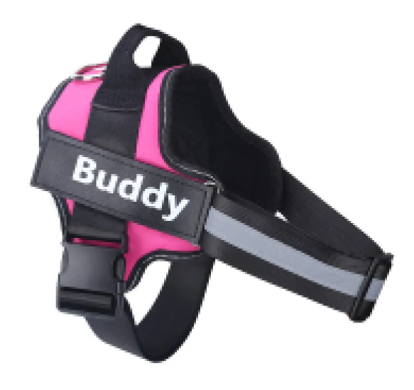 Glow Reflective Dog Vest