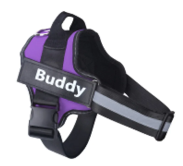Glow Reflective Dog Vest