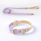 Saddle Leather Leash & Collar, view 4