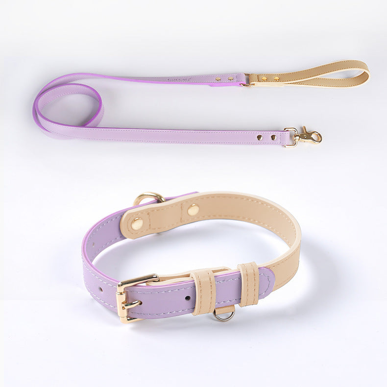 Saddle Leather Leash & Collar, view 4