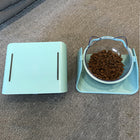 Prism Tilted Cat Bowl