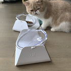 Prism Tilted Cat Bowl