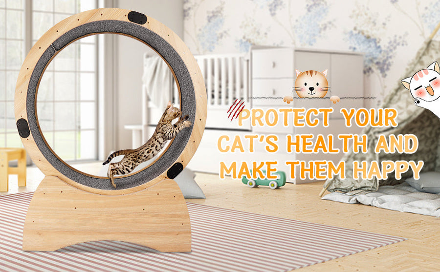 Orbit Exercise Wheel