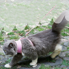 Sprig Mesh Cat Harness, view 11