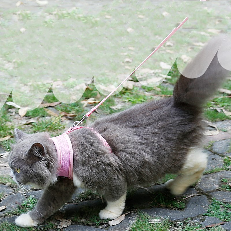 Sprig Mesh Cat Harness, view 11