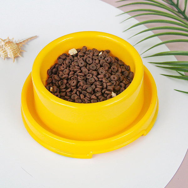 Moat Ant-Proof Pet Bowl in yellow filled with kibble, styled flat lay with a shell and palm leaf