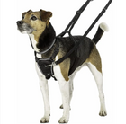 Anchor Reflective Dog Harness, view 7