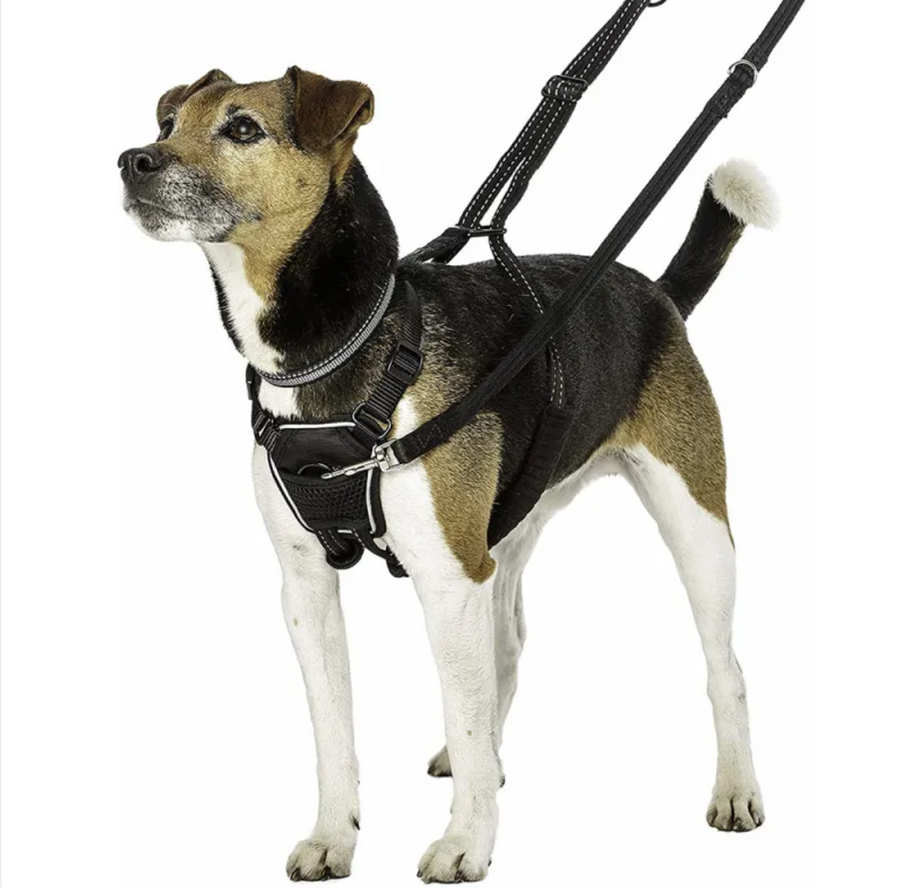 Anchor Reflective Dog Harness, view 7