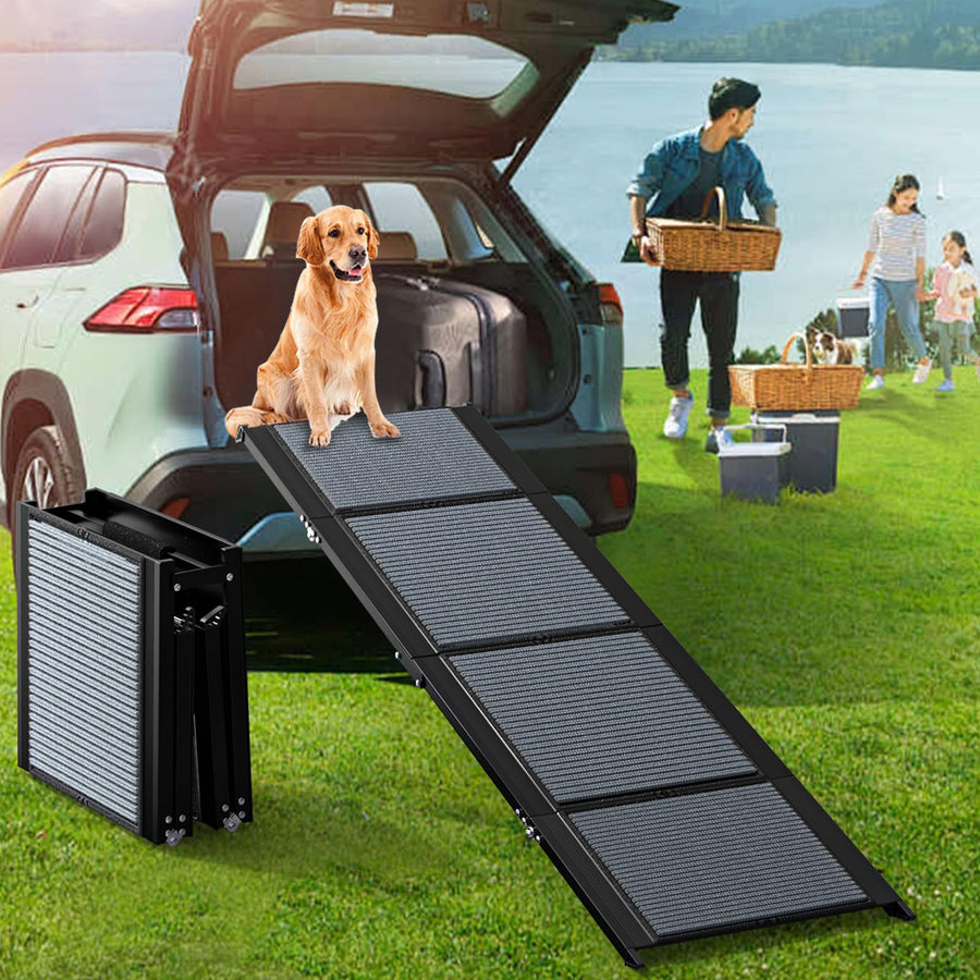 Ascent Car Ramp