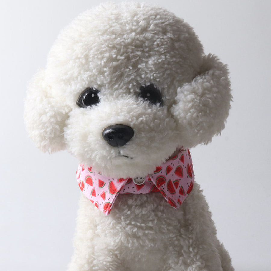 Blossom Bow Tie Collar