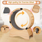 Orbit Exercise Wheel