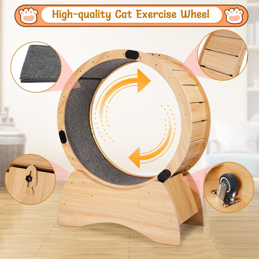 Orbit Exercise Wheel