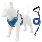 Beacon Reflective Dog Leash