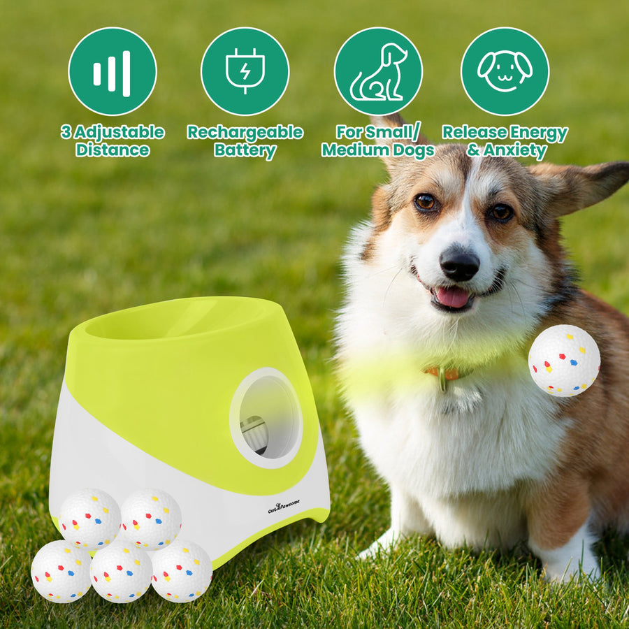 Volley Automatic Ball Launcher beside a corgi on grass with six spotted balls