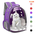 Vista Clear Cat Backpack