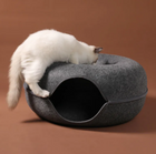 Burrow Tunnel Nest