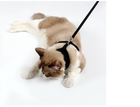 Sprig Mesh Cat Harness, view 4