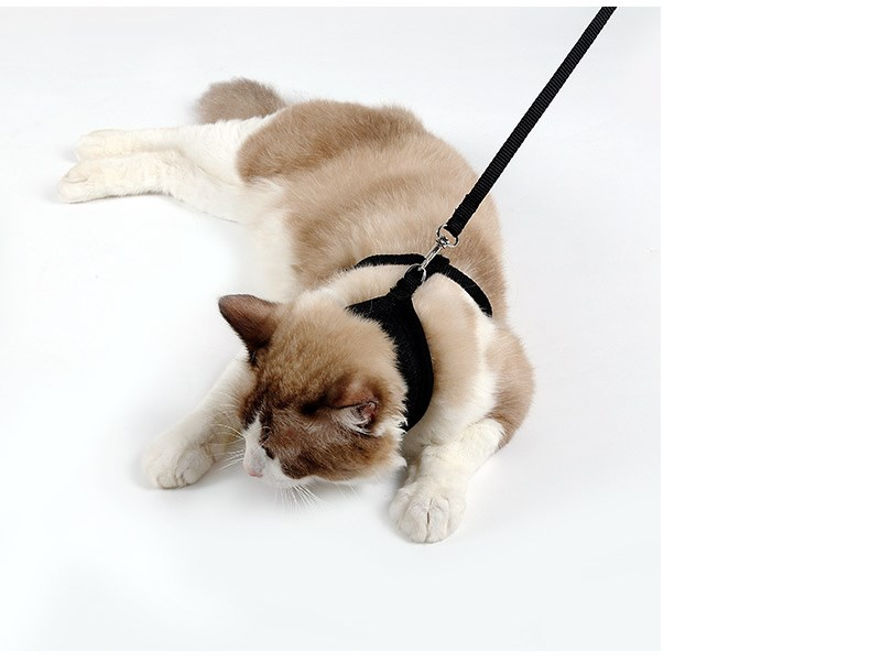 Sprig Mesh Cat Harness, view 4