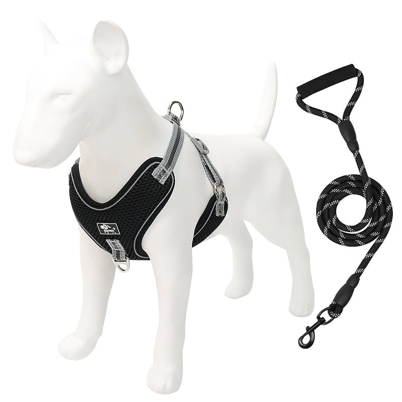 Beacon Reflective Dog Leash