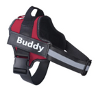 Glow Reflective Dog Vest