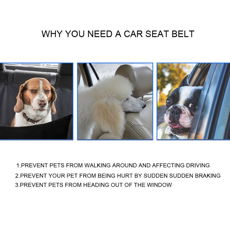 Moor Car Safety Belt, view 5