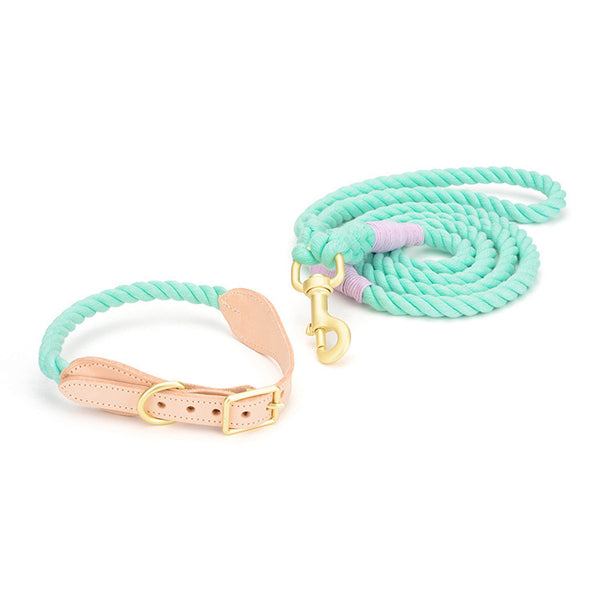 Mint green rope collar and leash from the Plait Rope Leash Set, with tan trim and a lilac-wrapped clip